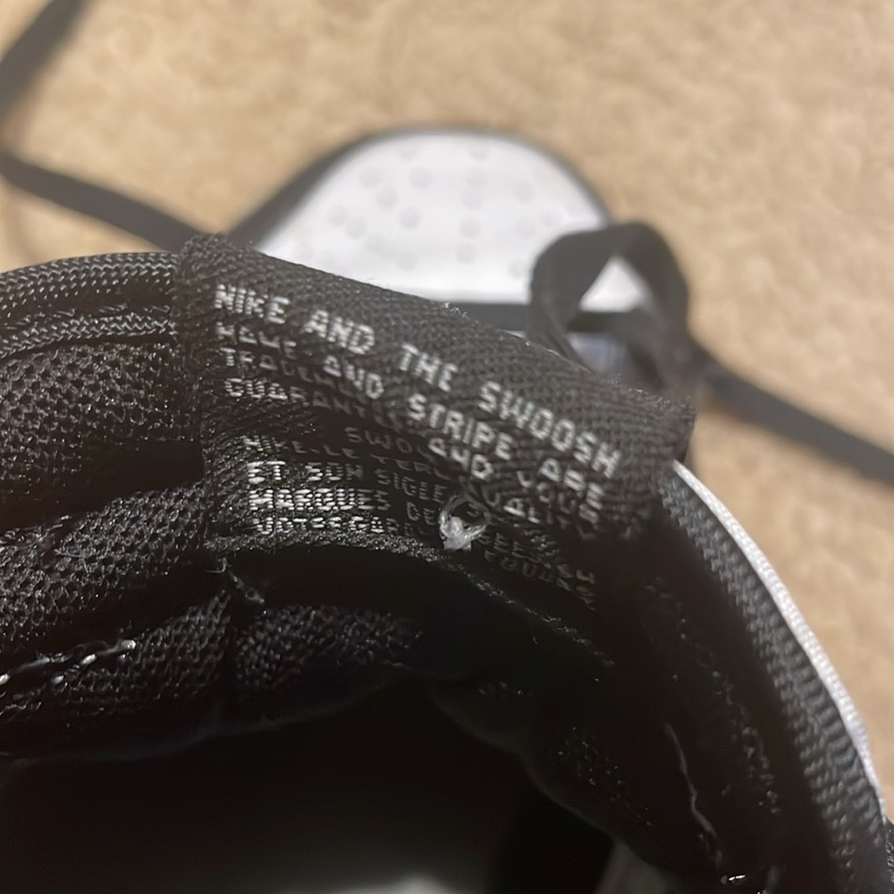 Panda Dunks - image 2